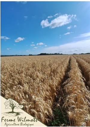 Winnaar van de prijs “CERES – Landbouw in transitie“ 2026: “La Ferme Wilmots”