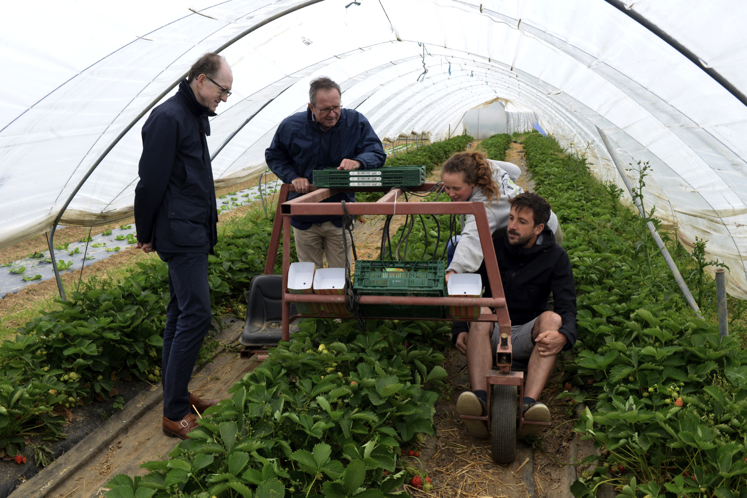 Prix Baillet Latour du Maraîchage Innovant