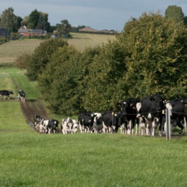 Ferme de la Warde
