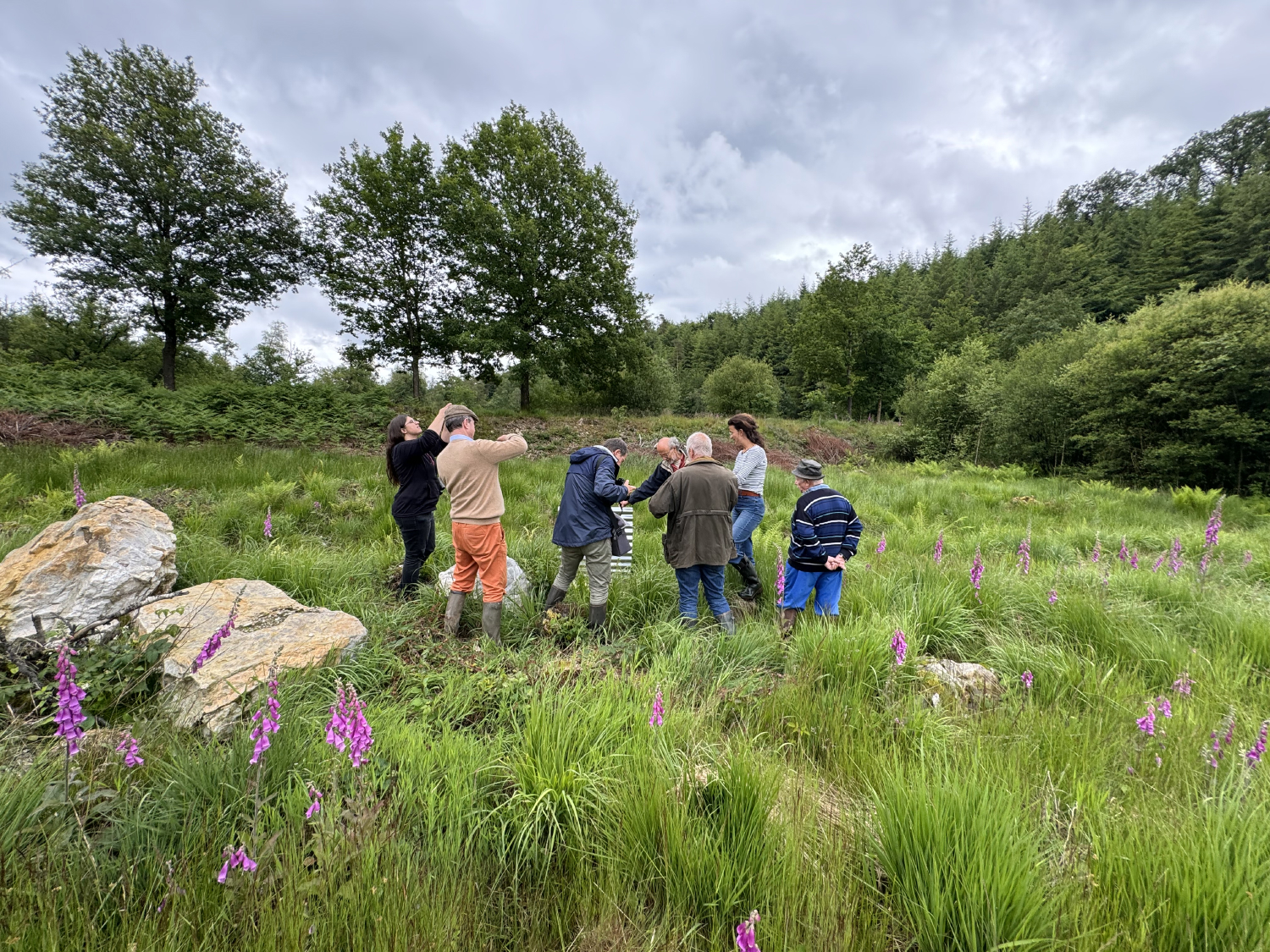 Prijs voor het leefmilieu